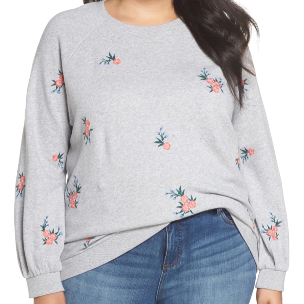 Caslon Floral Embroidered Cotton Sweatshirt